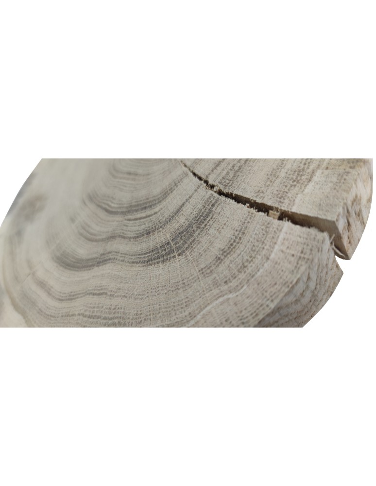 Plastry Okrągłe - Okorowany Plaster Dębu 15-20 cm/ gr. 3 cm/ Szlifowany - product b2b.wamar.biz 4