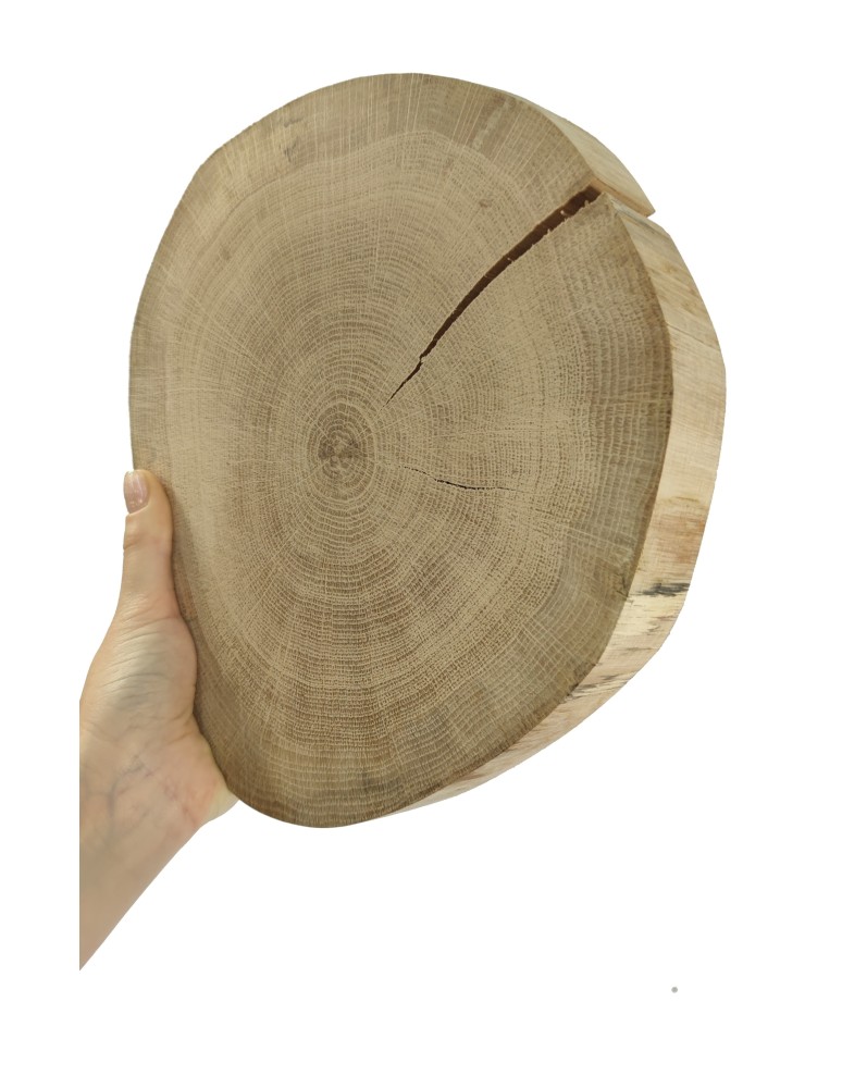 Plastry Okrągłe - Okorowany Plaster Dębu 20-25 cm/ gr. 4 cm/ Szlifowany - product b2b.wamar.biz 1