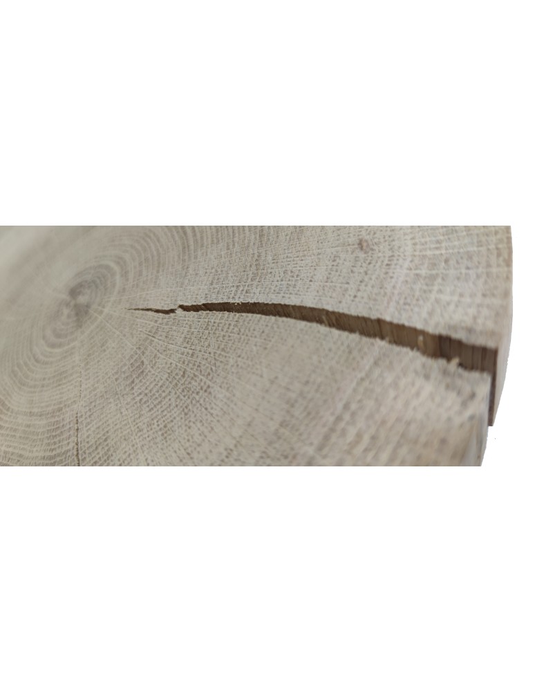 Plastry Okrągłe - Okorowany Plaster Dębu 20-25 cm/ gr. 3 cm/ Szlifowany - product b2b.wamar.biz 3