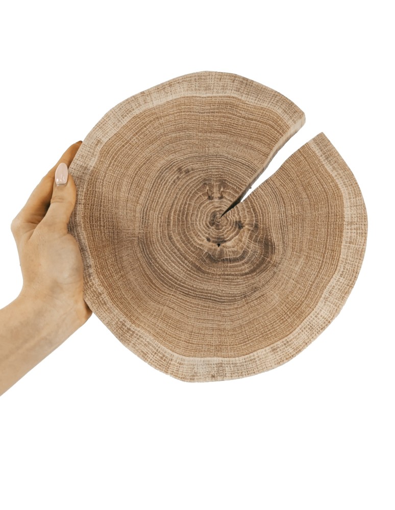 Plastry Okrągłe - Okorowany Plaster Dębu 20-25 cm/ gr. 2 cm/ Szlifowany - product b2b.wamar.biz 1