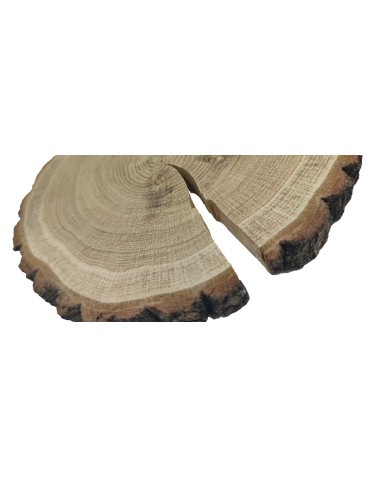 Plastry Okrągłe - Plaster Dębu 15-20 cm/ gr. 2 cm/ Szlifowany z Korą - product 3
