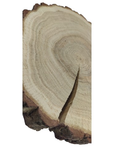 Plaster Dębu 20-25 cm/ gr. 3 cm/ Szlifowany z Korą - produkt 2