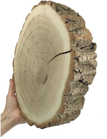 Plaster Dębu 30-35 cm/ gr. 6 cm/ Szlifowany z Korą