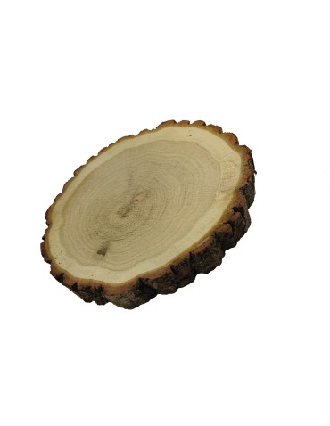 Plaster Dębu 15-20 cm/ gr. 3 cm/ Szlifowany z Korą - product 2