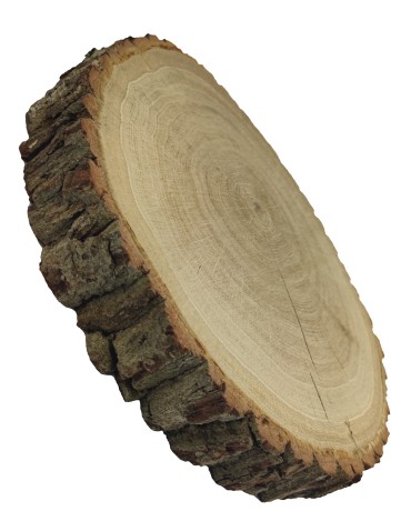 Plaster Dębu 35-40 cm/ gr. 6 cm/ Szlifowany z Korą - product 2