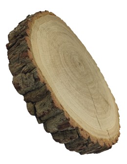 Plaster Dębu 35-40 cm/ gr. 6 cm/ Szlifowany z Korą - product 2