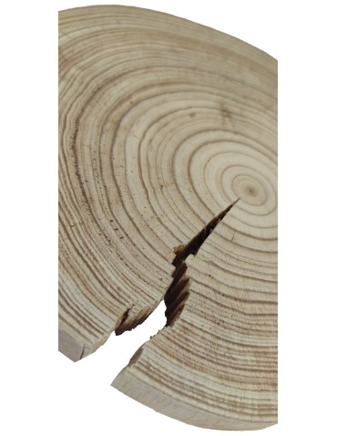 Plastry Okrągłe - Okorowany Plaster Modrzewia 20-25 cm/ gr. 1,5 cm/ Szlifowany - product 3