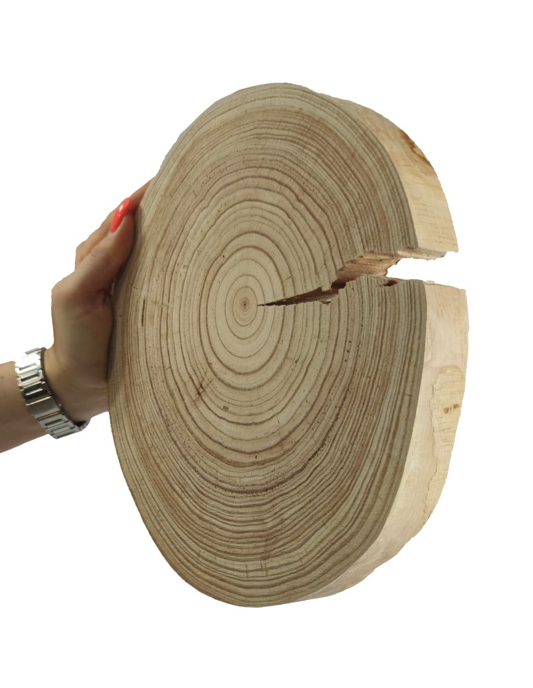 Plastry Okrągłe - Okorowany Plaster Modrzewia 20-25 cm/ gr. 2,5 cm/ Szlifowany - product b2b.wamar.biz 1