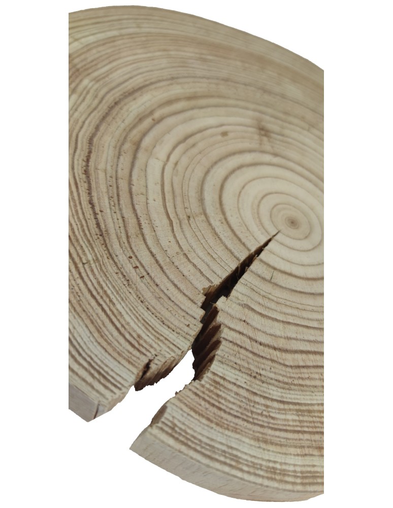 Plastry Okrągłe - Okorowany Plaster Modrzewia 20-25 cm/ gr. 2,5 cm/ Szlifowany - product b2b.wamar.biz 3