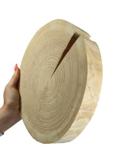 Okorowany Plaster Modrzewia 20-25 cm/ gr. 4 cm/ Szlifowany