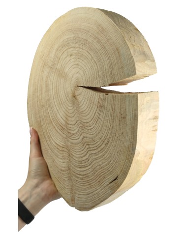 Okorowany Plaster Modrzewia 30-35 cm/ gr. 4 cm/ Szlifowany