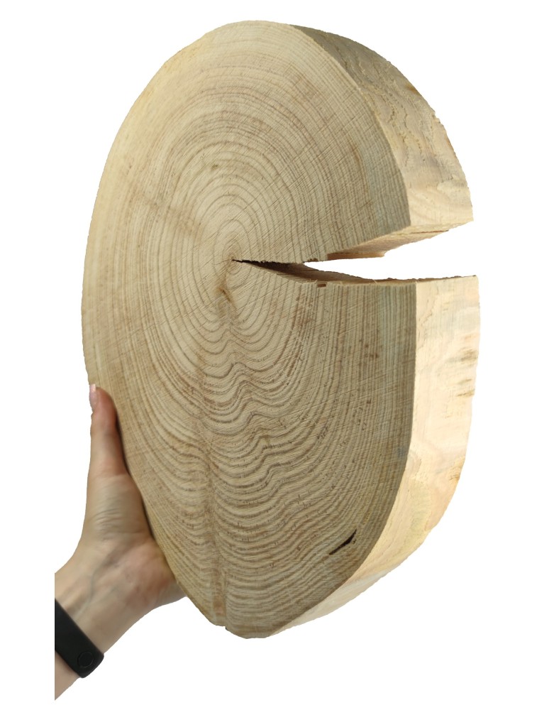Plastry Okrągłe - Okorowany Plaster Modrzewia 30-35 cm/ gr. 4 cm/ Szlifowany - produkt b2b.wamar.biz 1