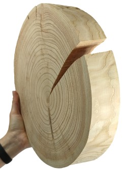 Okorowany Plaster Modrzewia 30-35 cm/ gr. 5 cm/ Szlifowany