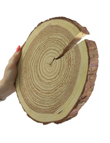 Plaster Modrzewia 20-25 cm/ gr. 3 cm/ Szlifowany z Korą