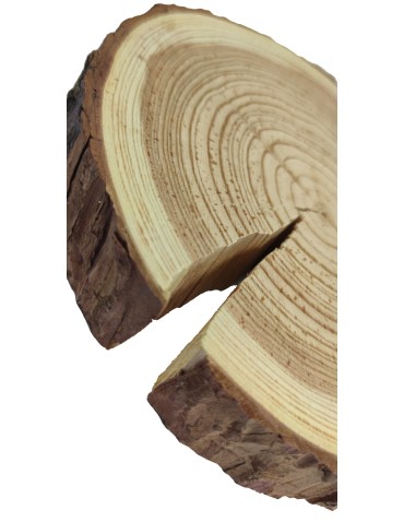 Plastry Okrągłe - Plaster Modrzewia 20-25 cm/ gr. 3 cm/ Szlifowany z Korą - produkt 3