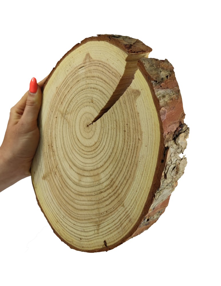 Plastry Okrągłe - Plaster Modrzewia 20-25 cm/ gr. 4 cm/ Szlifowany z Korą - product b2b.wamar.biz 1