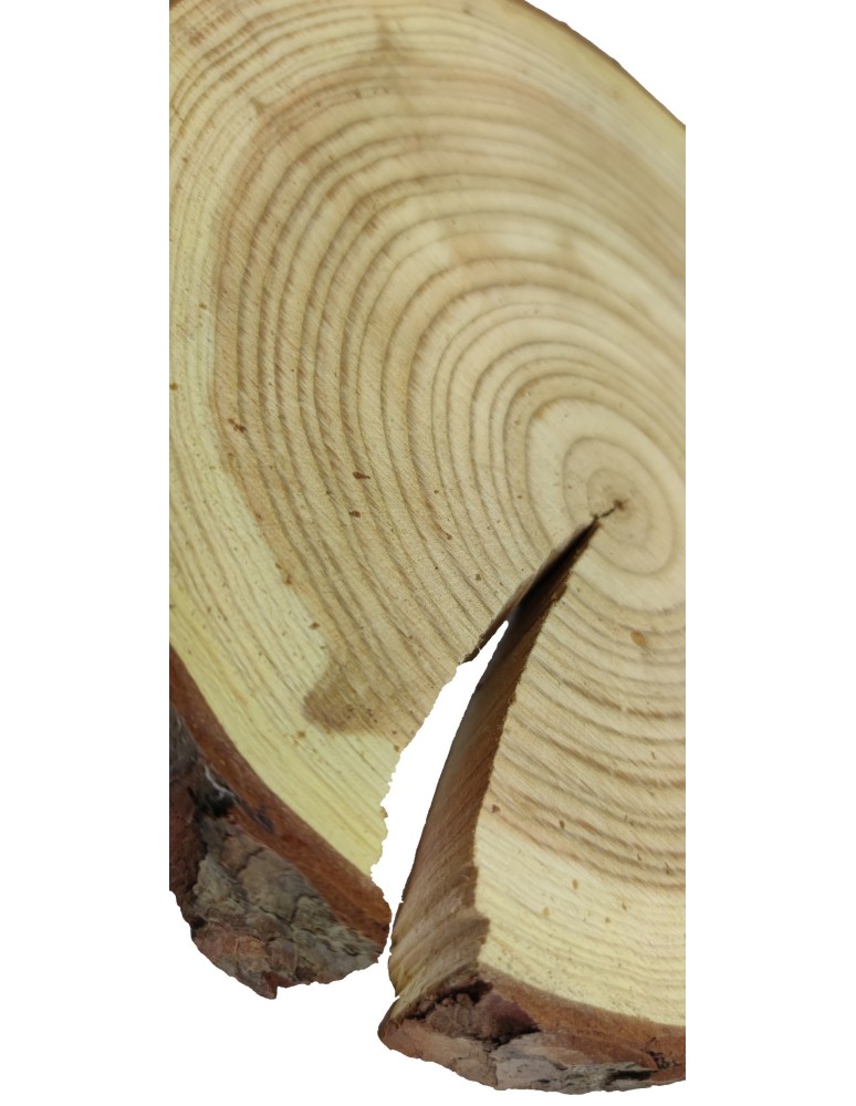 Plastry Okrągłe - Plaster Modrzewia 20-25 cm/ gr. 4 cm/ Szlifowany z Korą - product b2b.wamar.biz 2