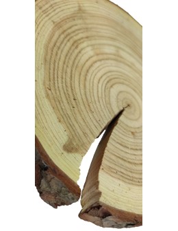 Plaster Modrzewia 20-25 cm/ gr. 4 cm/ Szlifowany z Korą - product 2