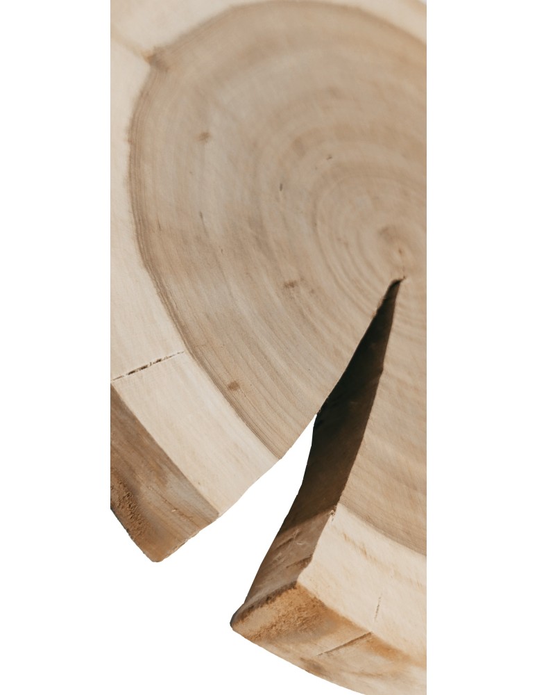 Plastry Okrągłe - Okorowany Plaster Czeremchy 15-20 cm/ gr. 2 cm/ Szlifowany - produkt b2b.wamar.biz 4