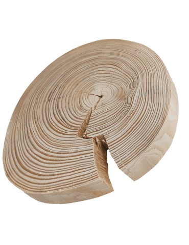 Plastry Okrągłe - Okorowany Plaster Sosny 15-20 cm/ gr. 2 cm/ Szlifowany - product 3