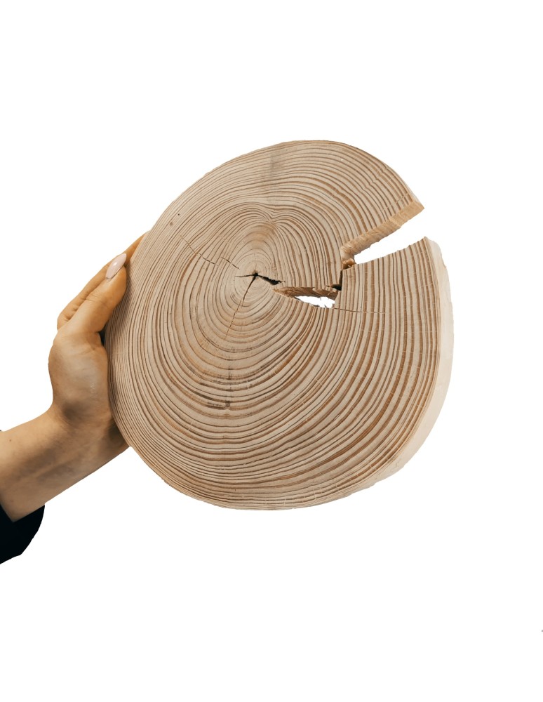 Plastry Okrągłe - Okorowany Plaster Sosny 20-25 cm/ gr. 3 cm/ Szlifowany - product b2b.wamar.biz 1
