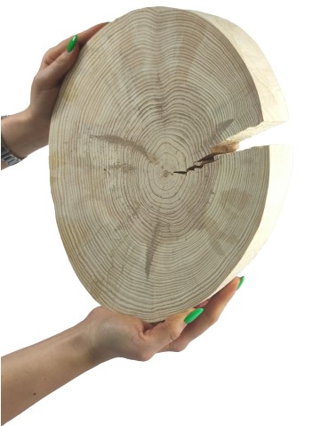 Okorowany Plaster Sosny 20-25 cm/ gr. 3 cm/ Szlifowany - product 2