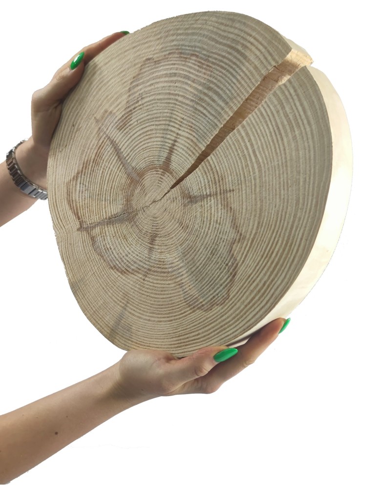 Plastry Okrągłe - Okorowany Plaster Sosny 25-30 cm/ gr. 3,5 cm/ Szlifowany - product b2b.wamar.biz 1