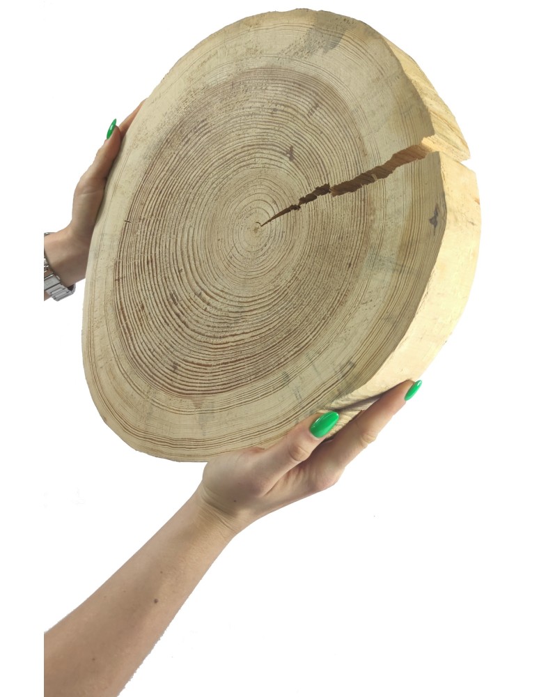 Plastry Okrągłe - Okorowany Plaster Sosny 30-35 cm/ gr. 5 cm/ Szlifowany - product b2b.wamar.biz 1