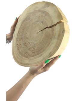 Okorowany Plaster Sosny 30-35 cm/ gr. 5 cm/ Szlifowany