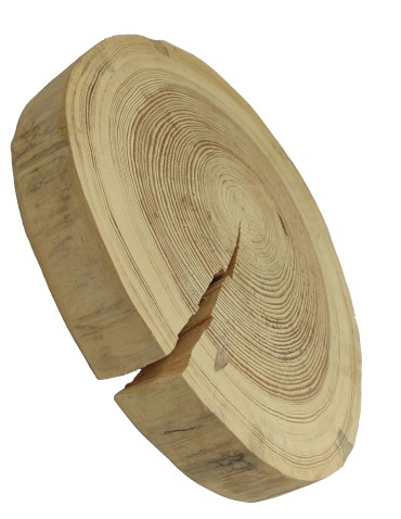 Okorowany Plaster Sosny 30-35 cm/ gr. 5 cm/ Szlifowany - product 2