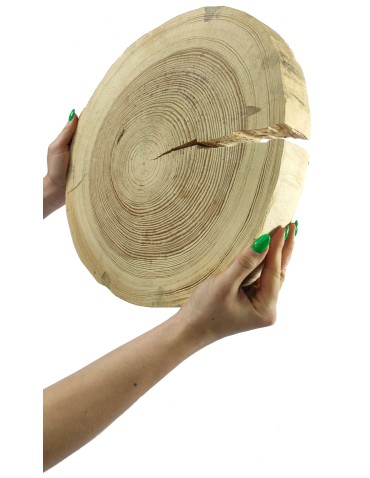 Okorowany Plaster Sosny 35-40 cm/ gr. 5 cm/ Szlifowany