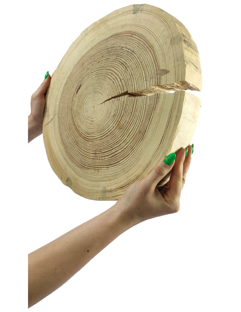 Plastry Okrągłe - Okorowany Plaster Sosny 35-40 cm/ gr. 5 cm/ Szlifowany - product b2b.wamar.biz 1