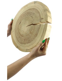 Okorowany Plaster Sosny 35-40 cm/ gr. 6 cm/ Szlifowany