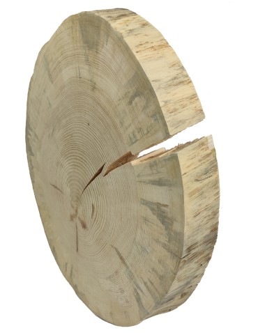 Plastry Okrągłe - Okorowany Plaster Sosny 50-55 cm/ gr. 5 cm/ Szlifowany - product 4