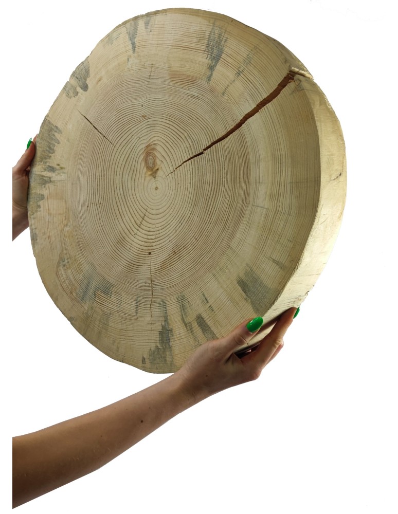 Plastry Okrągłe - Okorowany Plaster Sosny 50-55 cm/ gr. 6 cm/ Szlifowany - produkt b2b.wamar.biz 1