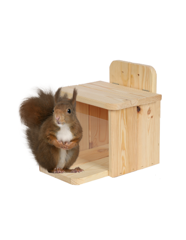 Drewniany karmnik dla wiewiórek - Naturalny