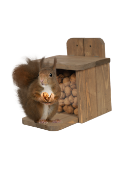 Drewniany karmnik dla wiewiórek - Brązowy