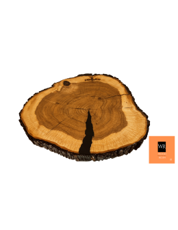 Blat żywiczny Ash Angel Unikat 152616 - product 2