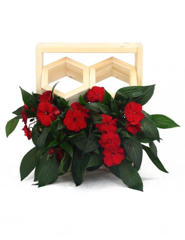 Grządki i Warzywniaki - Drewniane kwietniki wertykalne RD-8/2x2 - Naturalny - product 6