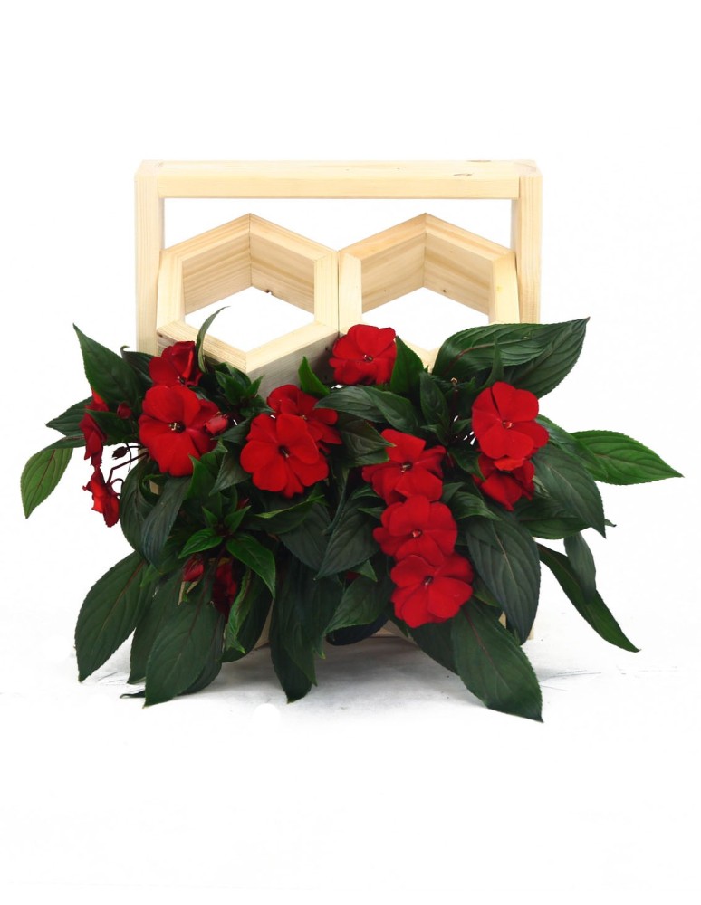 Grządki i Warzywniaki - Drewniane kwietniki wertykalne RD-8/2x2 - Naturalny - product b2b.wamar.biz 6