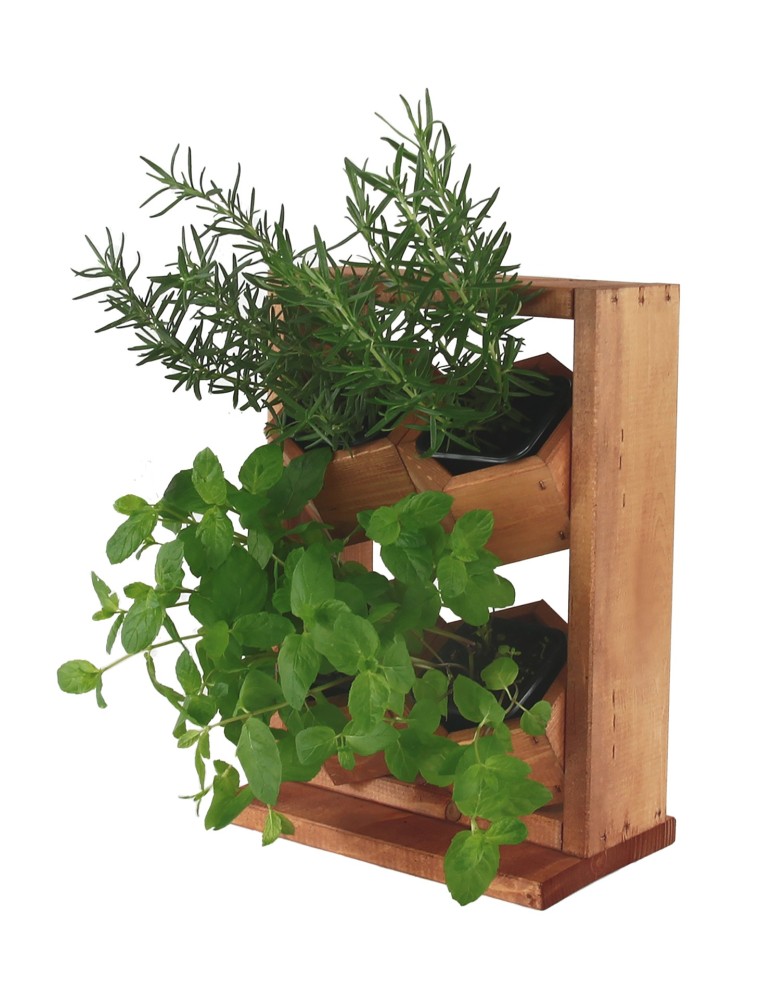 Grządki i Warzywniaki - Drewniane kwietniki wertykalne RD-8/2x2 - Olcha - product b2b.wamar.biz 6