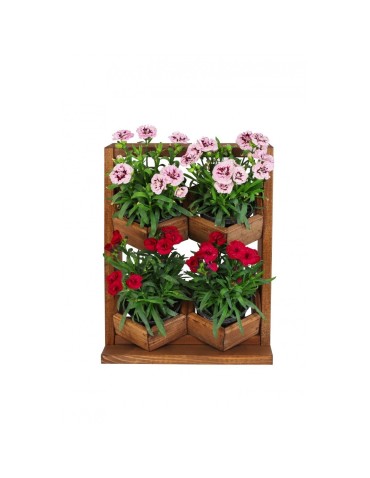 Grządki i Warzywniaki - Drewniane kwietniki wertykalne RD-8/2x2 - Olcha - product 7