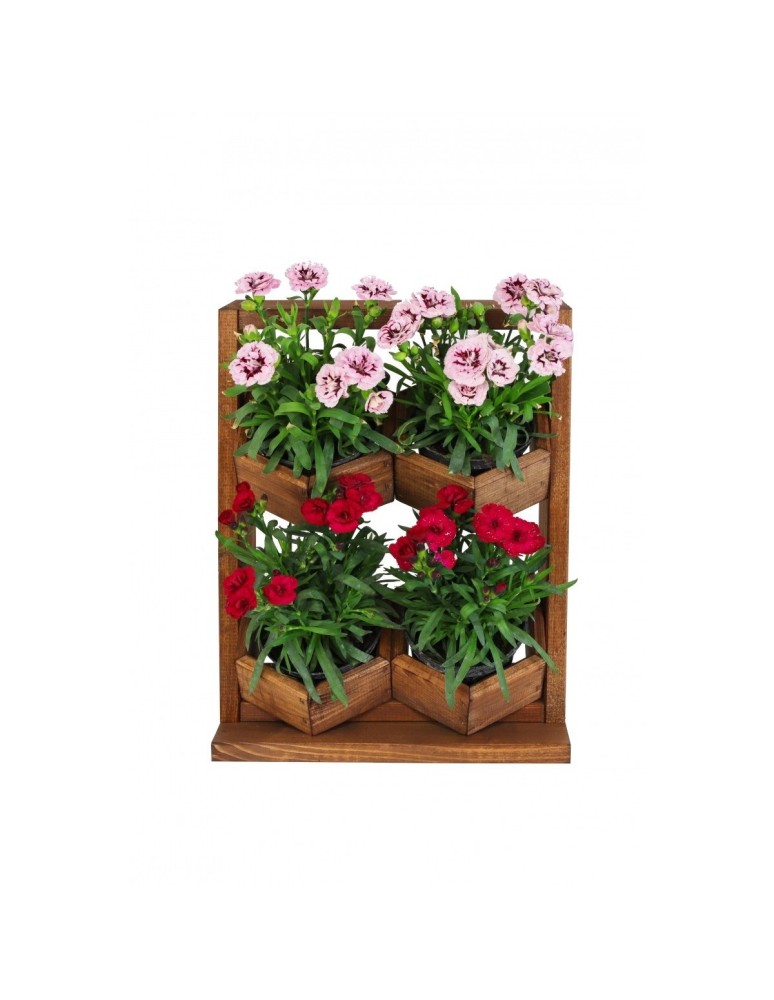 Grządki i Warzywniaki - Drewniane kwietniki wertykalne RD-8/2x2 - Olcha - product b2b.wamar.biz 7