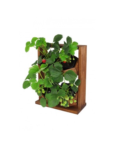 Grządki i Warzywniaki - Drewniane kwietniki wertykalne RD-8/2x2 - Olcha - product 9