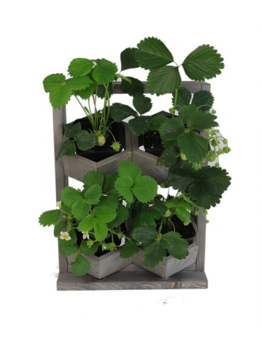 Grządki i Warzywniaki - Drewniane kwietniki wertykalne RD-8/2x2 - Szare - product 7