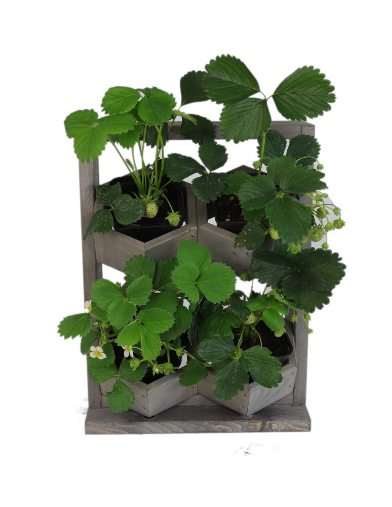 Grządki i Warzywniaki - Drewniane kwietniki wertykalne RD-8/2x2 - Szare - product b2b.wamar.biz 7