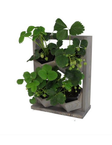 Grządki i Warzywniaki - Drewniane kwietniki wertykalne RD-8/2x2 - Szare - product 8