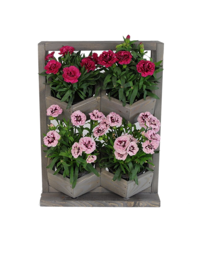 Grządki i Warzywniaki - Drewniane kwietniki wertykalne RD-8/2x2 - Szare - product b2b.wamar.biz 10