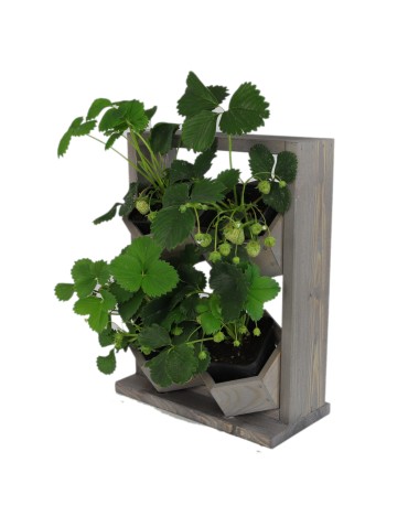 Grządki i Warzywniaki - Drewniane kwietniki wertykalne RD-8/2x2 - Szare - product 14