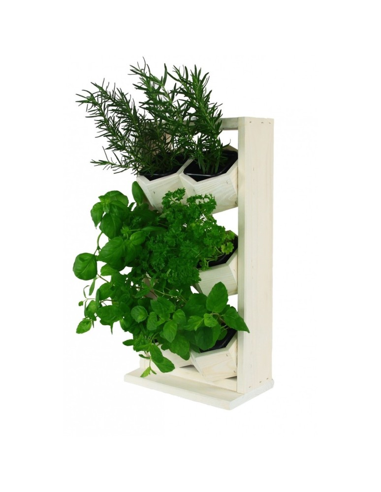 Grządki i Warzywniaki - Kwietniki Drewniane Wertykalne RD-8/2x3 - Wykończenie naturalne - product b2b.wamar.biz 5